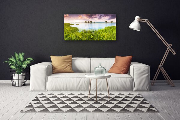 Tablou pe panza canvas Grass Lake Natura Verde Albastru