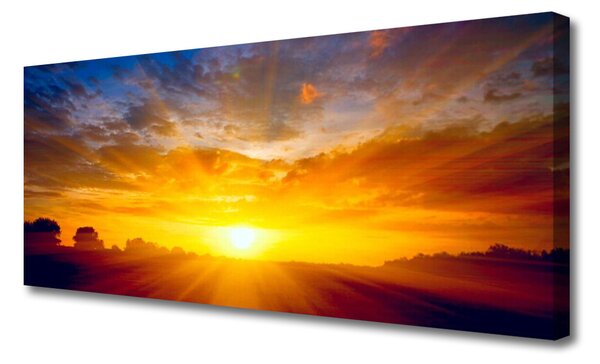 Tablou pe panza canvas Sun Peisaj Galben