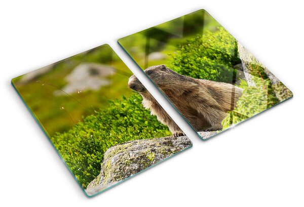Tocător din sticlă Marmotă pe un fundal de iarbă verde