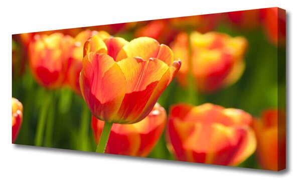 Tablou pe panza canvas Lalele Floral Galben Rosu