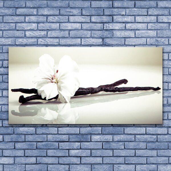 Tablou pe panza canvas Florale flori albe