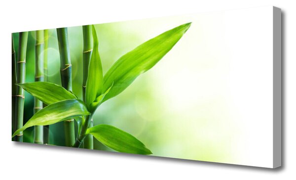 Tablou pe panza canvas Bamboo Canes Floral Verde