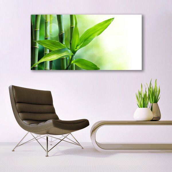 Tablou pe sticla Bamboo Canes Floral Verde
