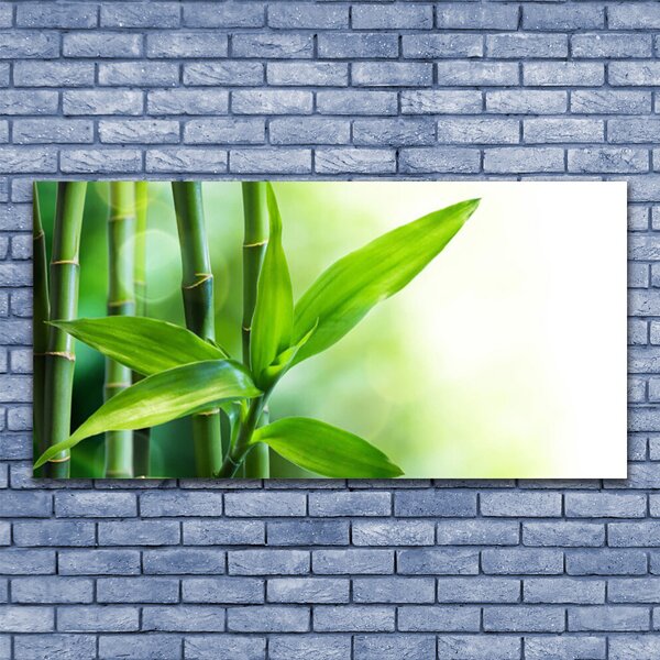 Tablou pe sticla Bamboo Canes Floral Verde