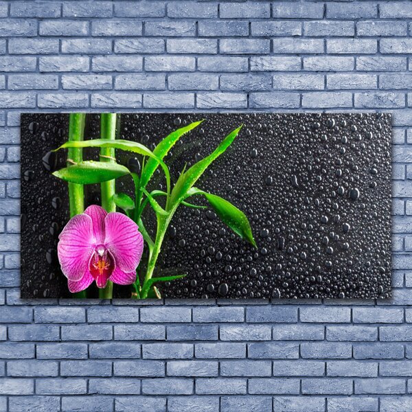 Tablou pe sticla Bamboo Tube florale flori roz verde