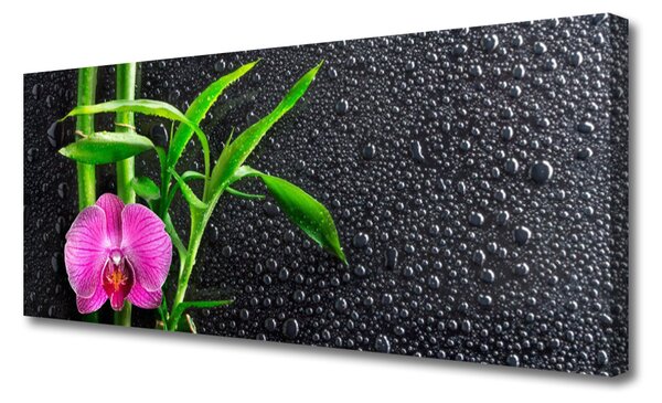 Tablou pe panza canvas Bamboo Tube florale flori roz verde