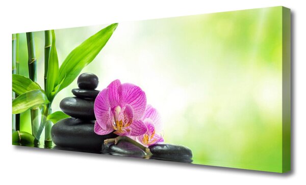 Tablou pe panza canvas Bamboo Tub flori Stones Floral Verde Negru Roz