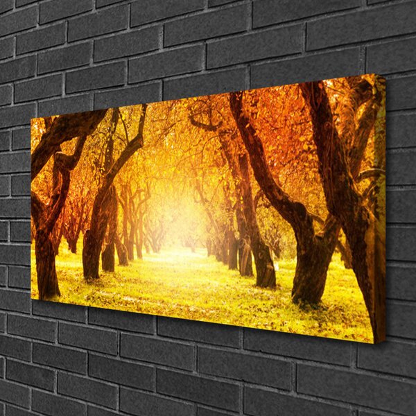 Tablou pe panza canvas Forest Potecă Natura Maro Galben