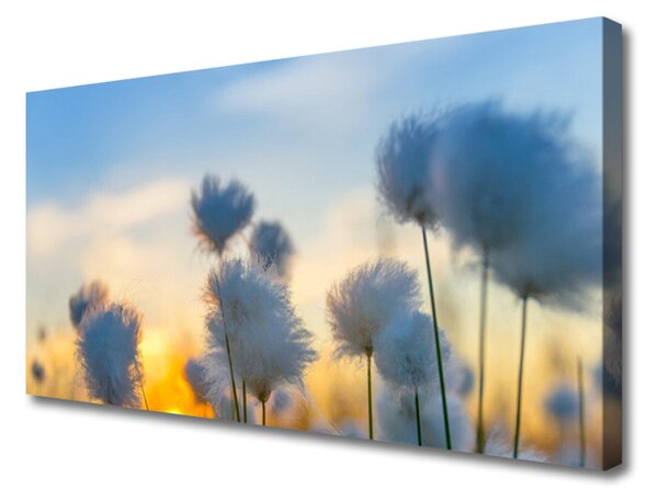 Tablou pe panza canvas Flori Floral alb
