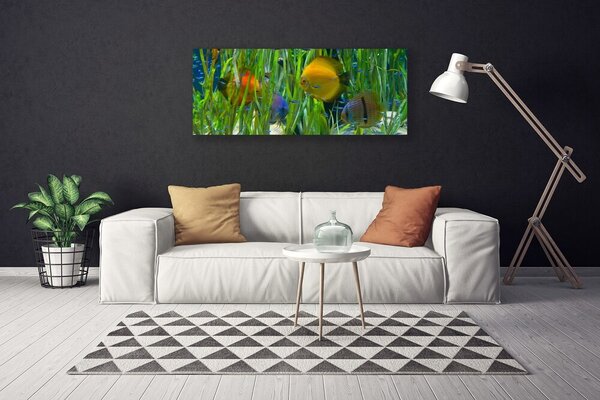 Tablou pe panza canvas Pește Natura galben
