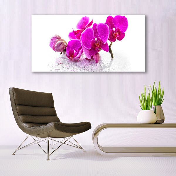 Tablou pe sticla Flori roz Floral