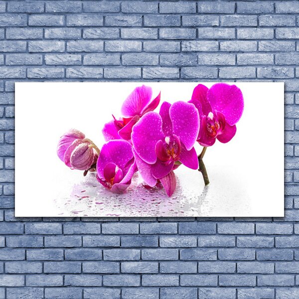 Tablou pe sticla Flori roz Floral