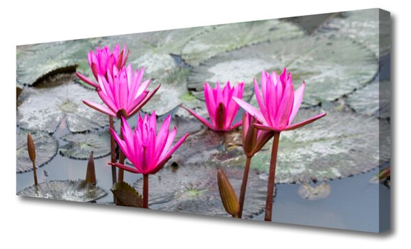 Tablou pe panza canvas Flori Floral Roșu