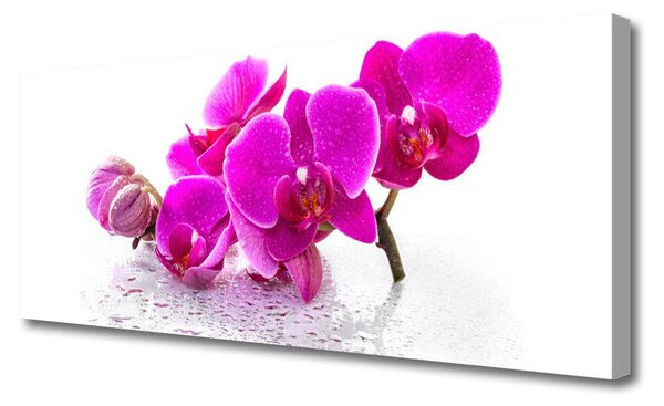 Tablou pe panza canvas Flori roz Floral