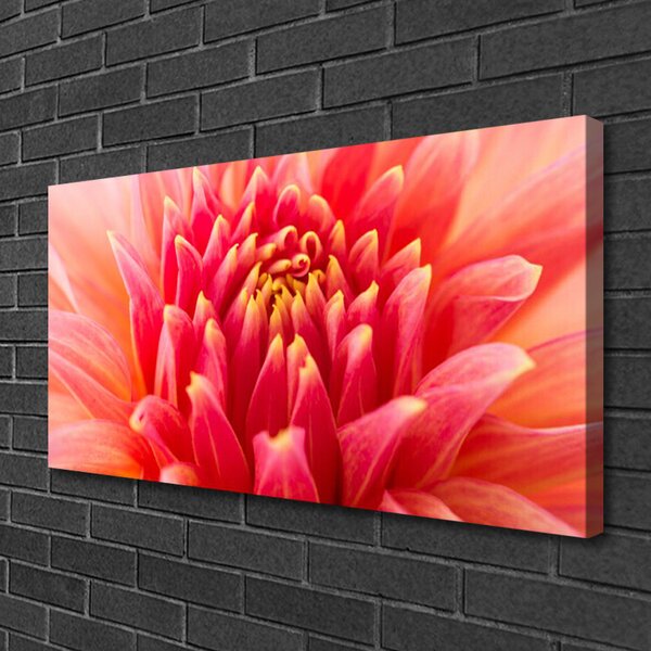 Tablou pe panza canvas Florale flori Orange