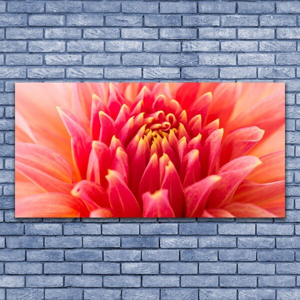 Tablou pe sticla Florale flori Orange