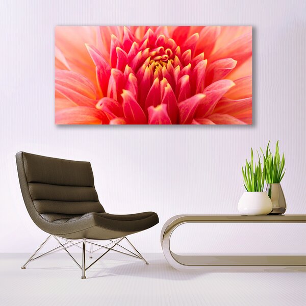 Tablou pe sticla Florale flori Orange