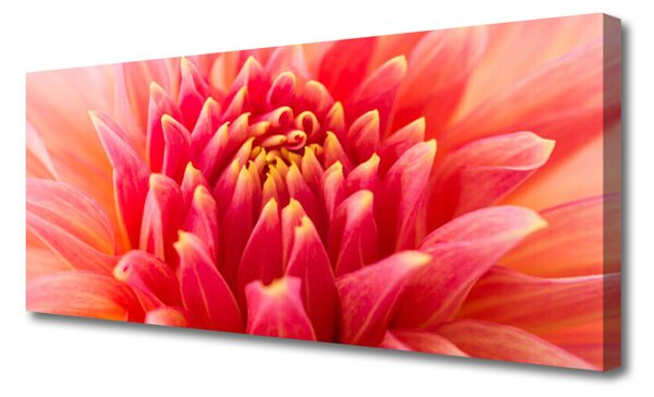 Tablou pe panza canvas Florale flori Orange