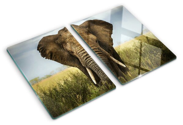Tocător sticlă Un elefant pe fundalul savanei africane