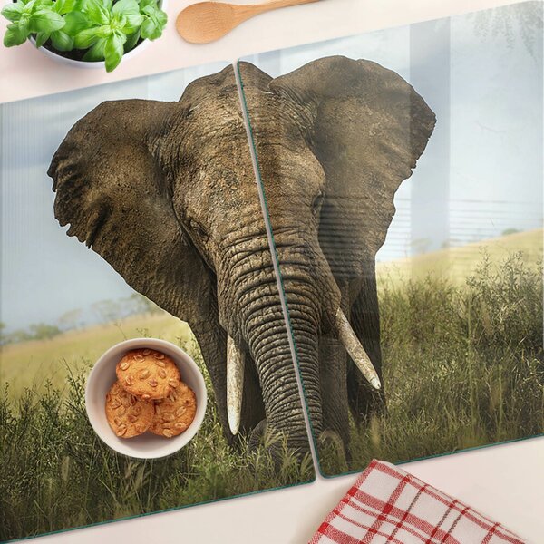 Tocător sticlă Un elefant pe fundalul savanei africane