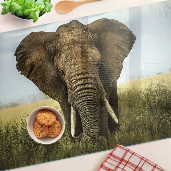 Tocător sticlă Un elefant pe fundalul savanei africane