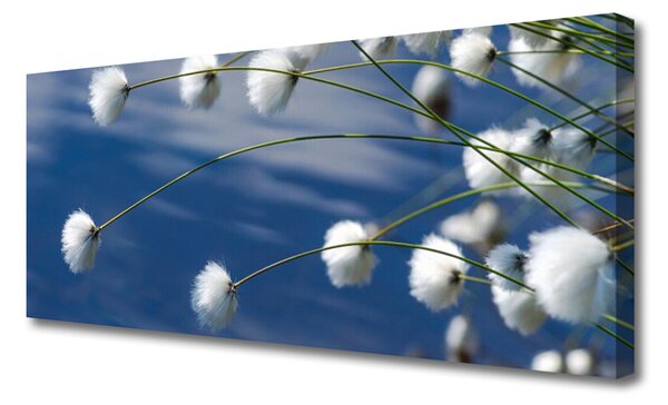 Tablou pe panza canvas Flori Floral alb