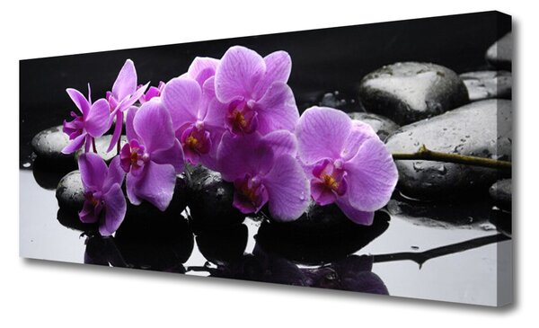 Tablou pe panza canvas Pietrele florale flori roz negru