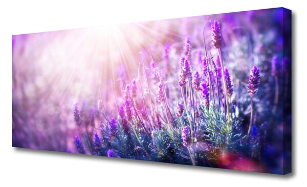 Tablou pe panza canvas Flori Floral Roz Violet