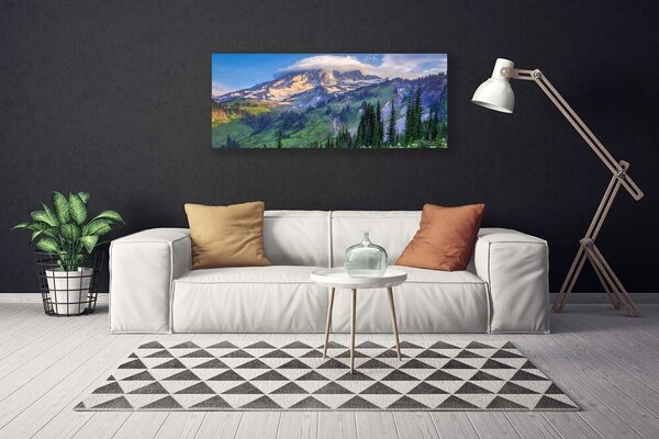 Tablou pe panza canvas Munte Peisaj Forestier Gri Verde
