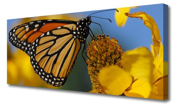 Tablou pe panza canvas Butterfly Flower Natura Negru Alb Galben