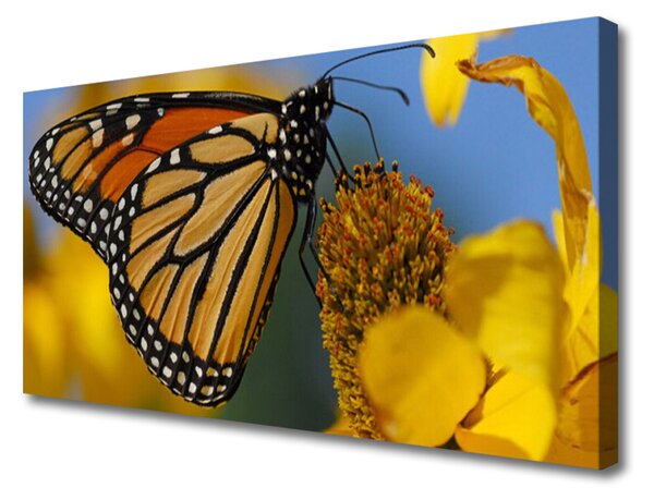 Tablou pe panza canvas Butterfly Flower Natura Negru Alb Galben