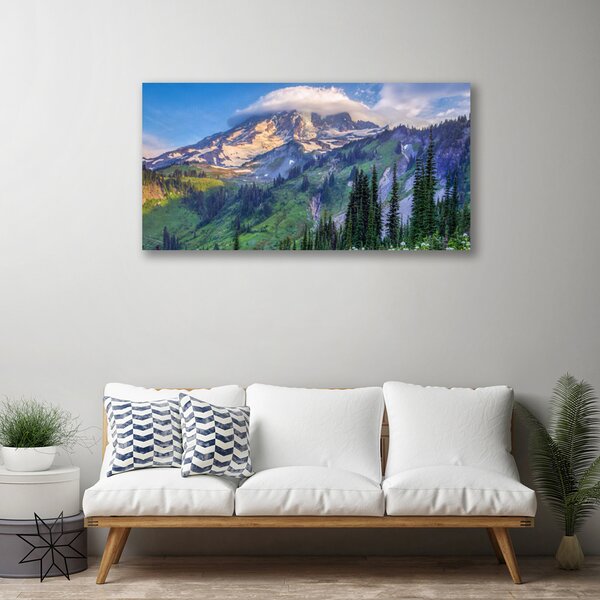Tablou pe panza canvas Munte Peisaj Forestier Gri Verde