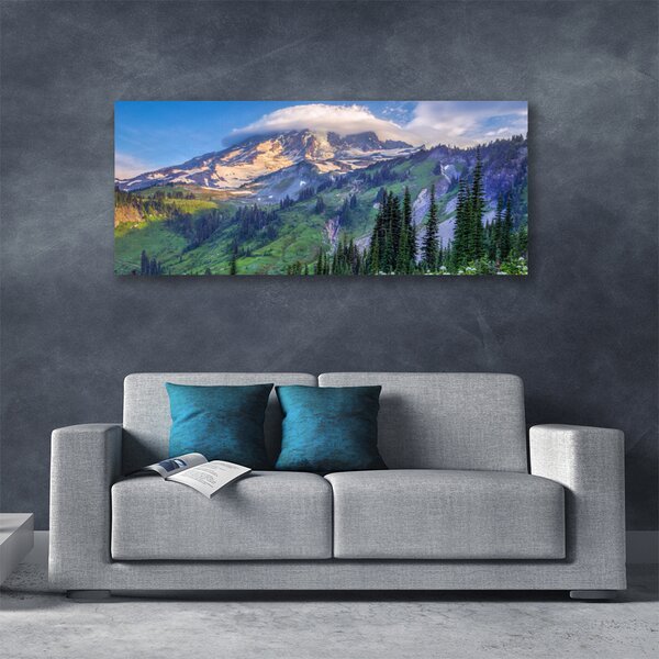 Tablou pe panza canvas Munte Peisaj Forestier Gri Verde