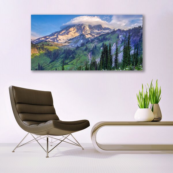 Tablou pe panza canvas Munte Peisaj Forestier Gri Verde