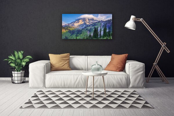 Tablou pe panza canvas Munte Peisaj Forestier Gri Verde