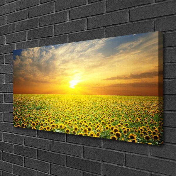 Tablou pe panza canvas Soare Meadow Floarea soarelui Natura Galben Maro Verde