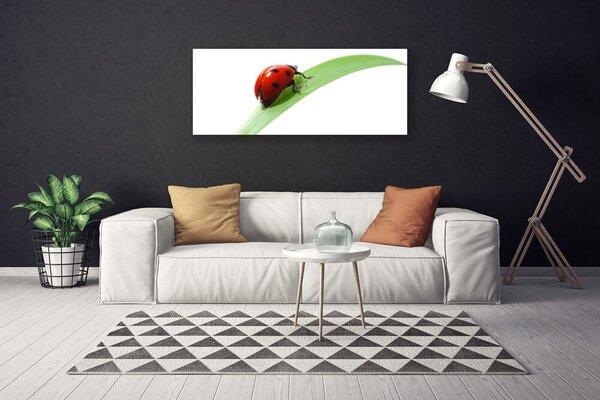 Tablou pe panza canvas Ladybird Beetle Natura Verde Roșu Negru