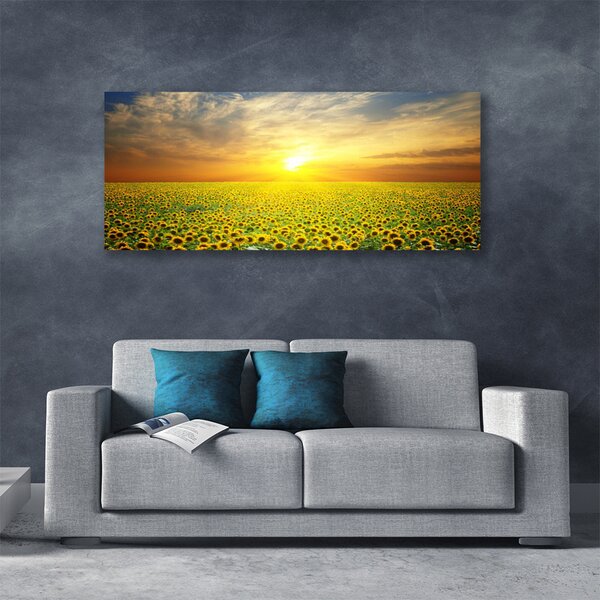 Tablou pe panza canvas Soare Meadow Floarea soarelui Natura Galben Maro Verde