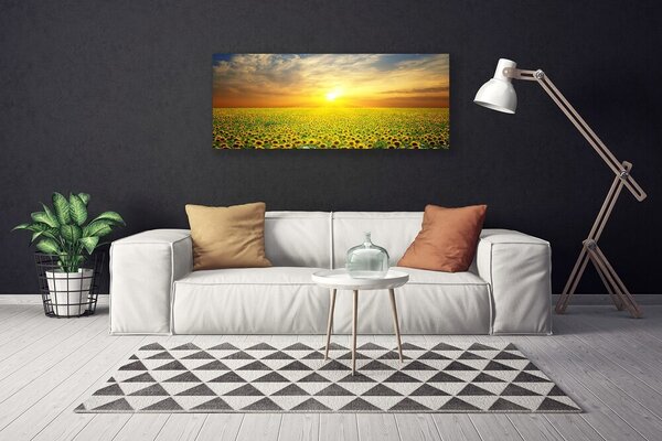 Tablou pe panza canvas Soare Meadow Floarea soarelui Natura Galben Maro Verde