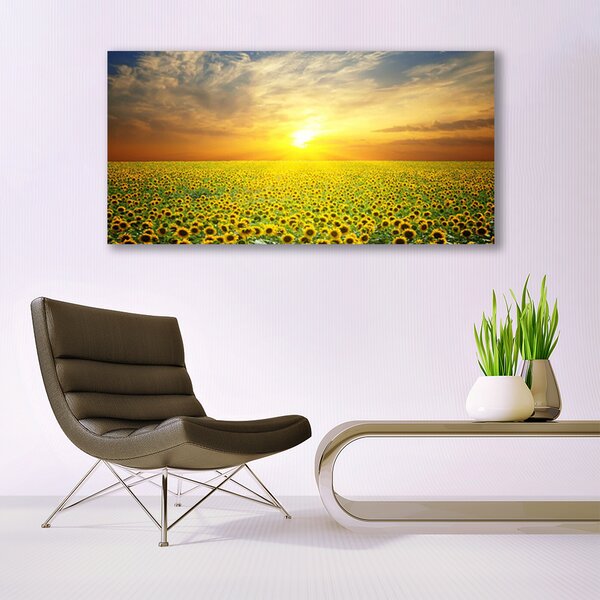 Tablou pe panza canvas Soare Meadow Floarea soarelui Natura Galben Maro Verde