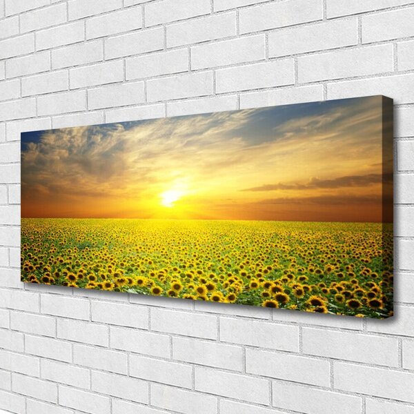Tablou pe panza canvas Soare Meadow Floarea soarelui Natura Galben Maro Verde