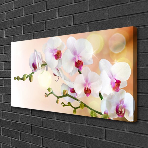 Tablou pe panza canvas Flori Floral Alb Roz
