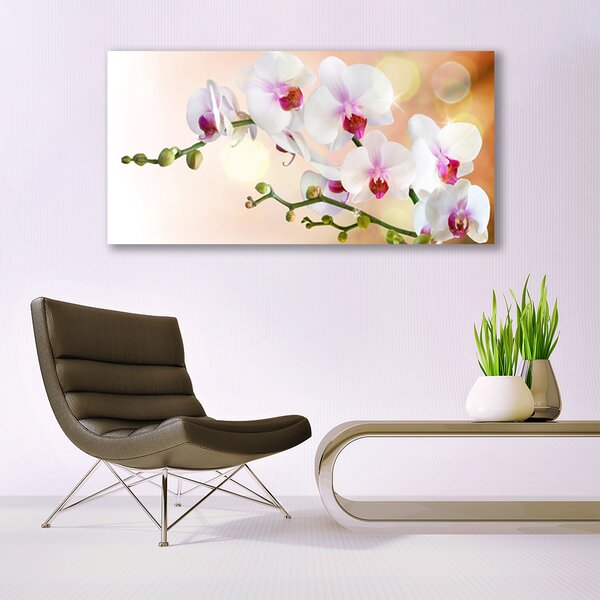 Tablou pe sticla Flori Floral Alb Roz