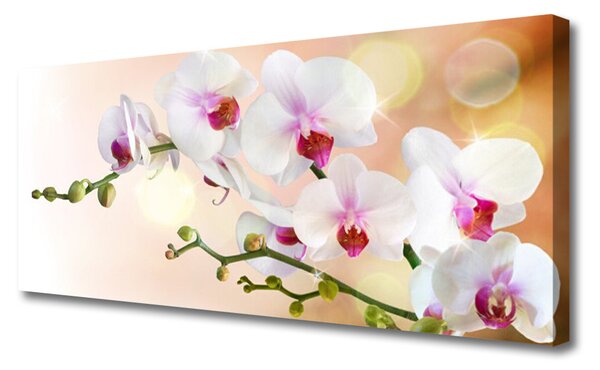 Tablou pe panza canvas Flori Floral Alb Roz