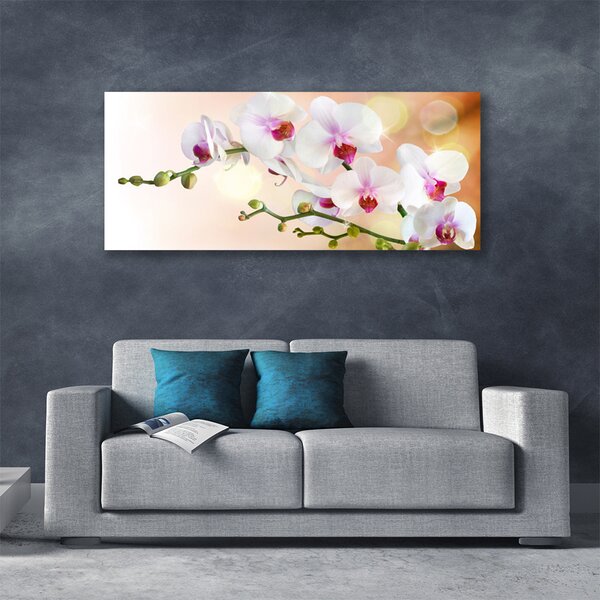 Tablou pe panza canvas Flori Floral Alb Roz