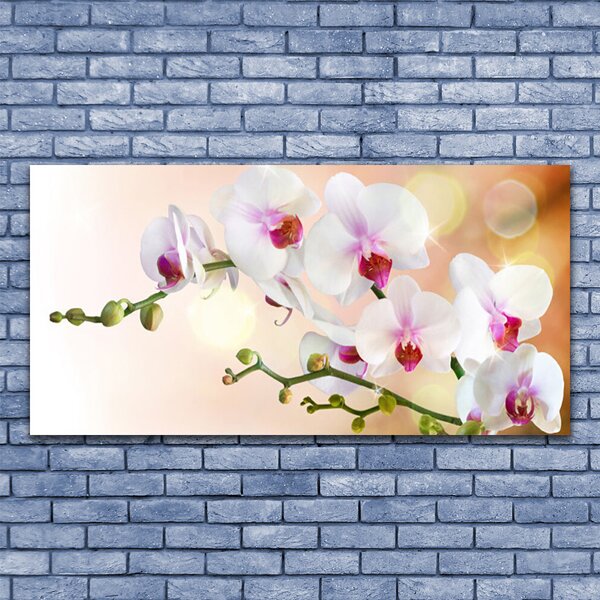 Tablou pe sticla Flori Floral Alb Roz