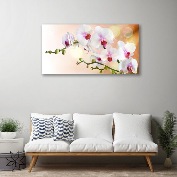 Tablou pe panza canvas Flori Floral Alb Roz