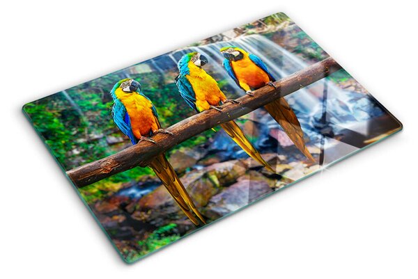 Tocător de bucătărie Papagali pe o creangă într-o pădure tropicală