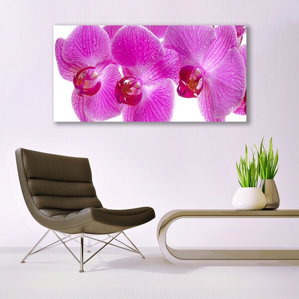 Tablou pe sticla Flori roz Floral