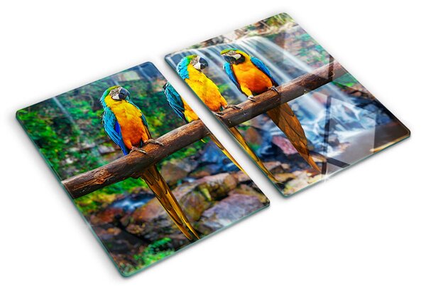 Tocător de bucătărie Papagali pe o creangă într-o pădure tropicală